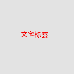 功能组件 文字标签